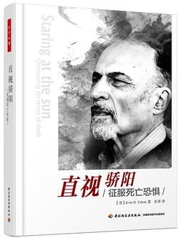 《直视骄阳》-azw3,mobi,epub,pdf,txt,kindle电子书免费下载
